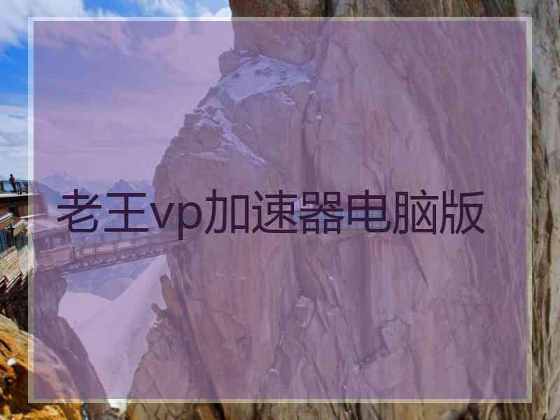 老王vp加速器电脑版