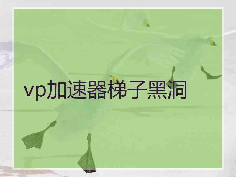 vp加速器梯子黑洞