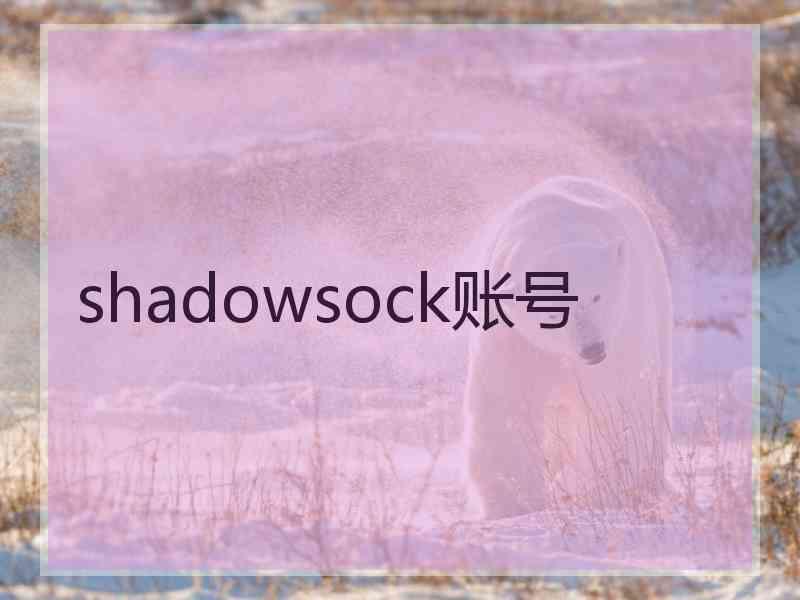 shadowsock账号
