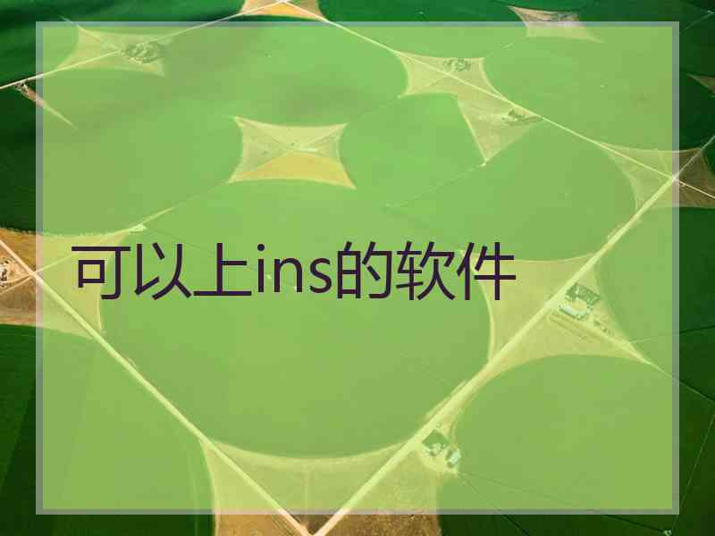 可以上ins的软件