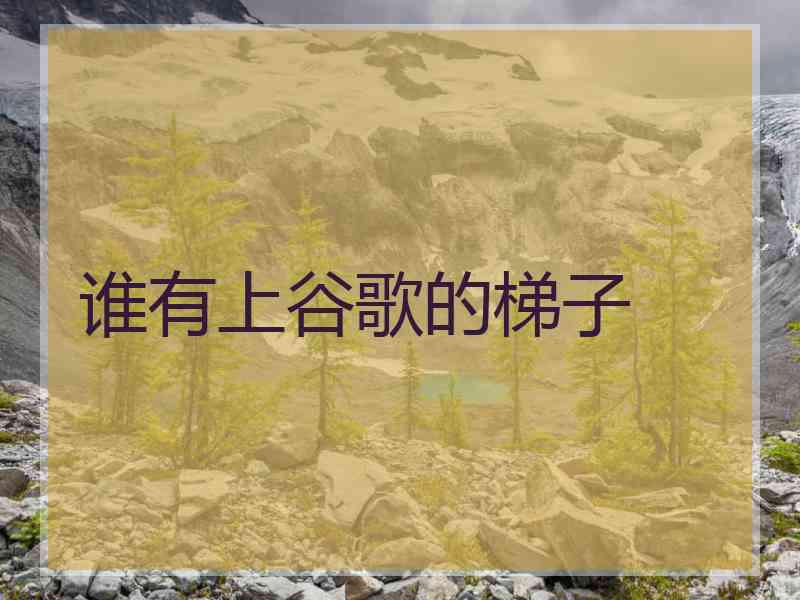 谁有上谷歌的梯子