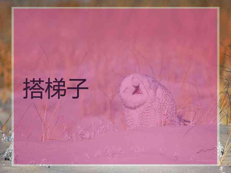 搭梯子