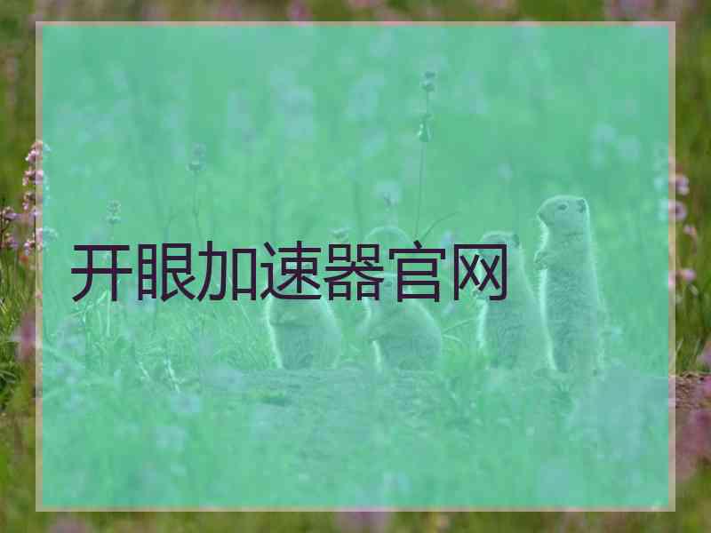 开眼加速器官网