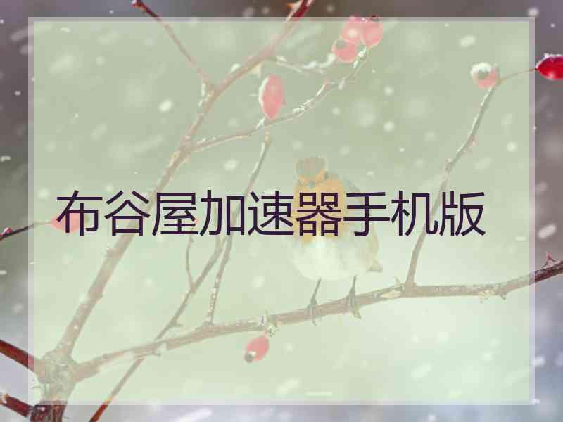 布谷屋加速器手机版