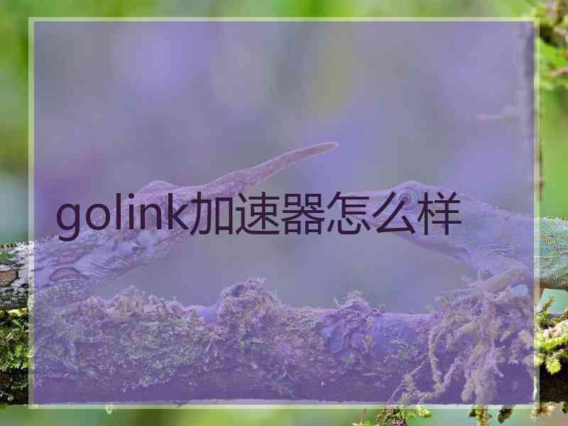 golink加速器怎么样