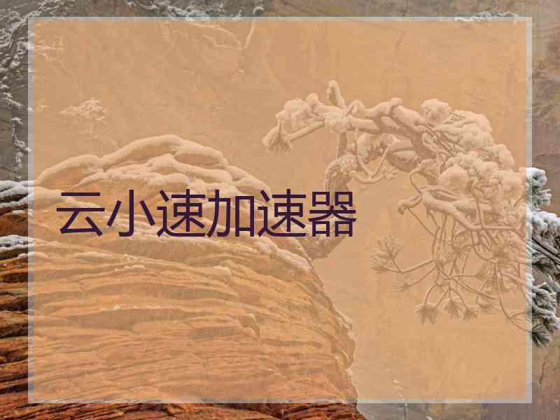 云小速加速器