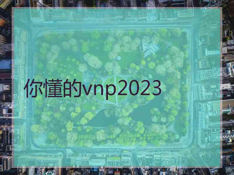 你懂的vnp2023