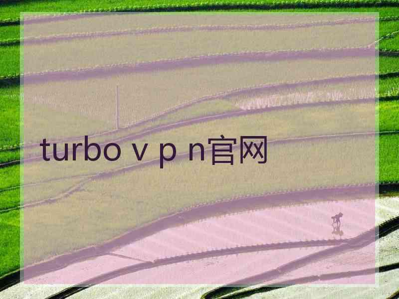 turbo v p n官网