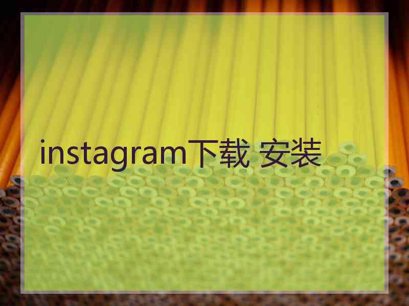instagram下载 安装
