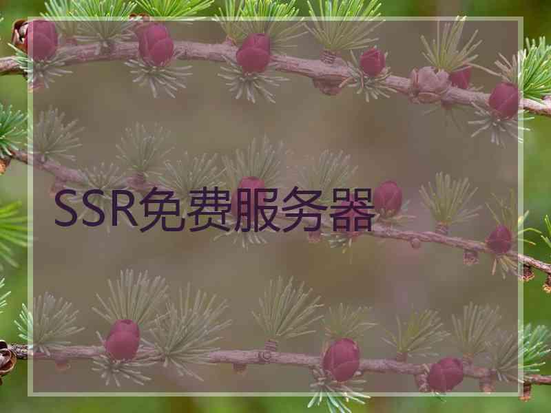 SSR免费服务器