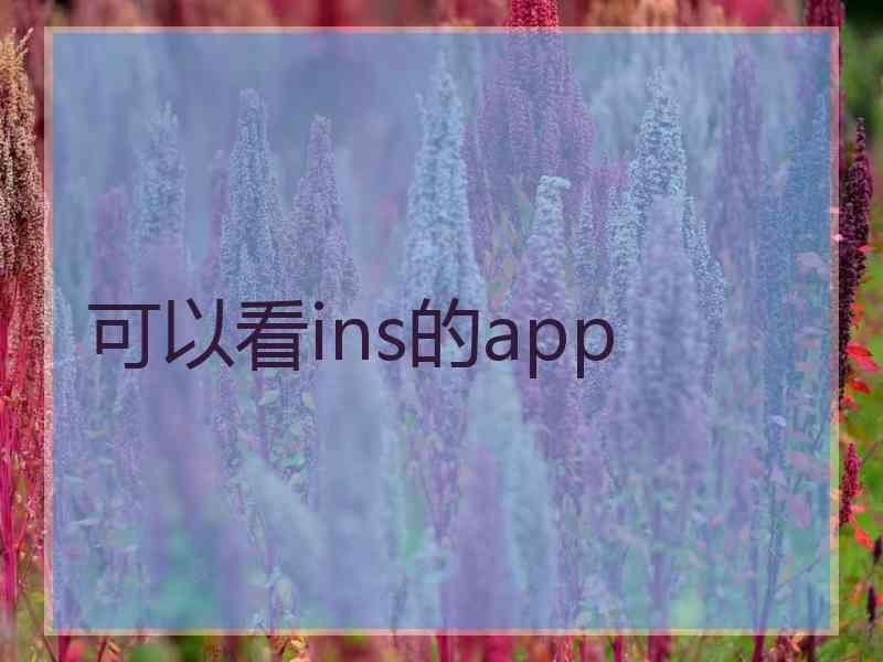 可以看ins的app