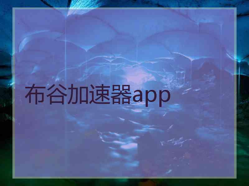布谷加速器app
