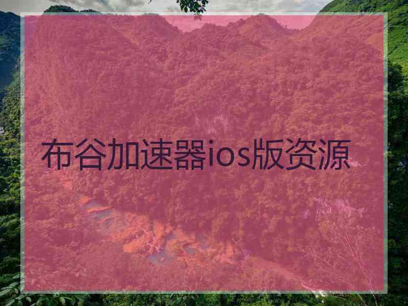 布谷加速器ios版资源
