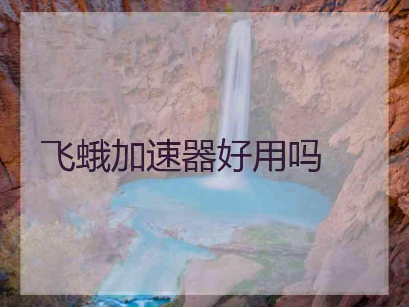 飞蛾加速器好用吗