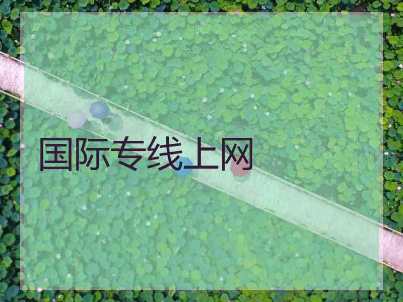 国际专线上网
