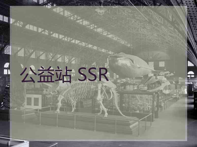 公益站 SSR