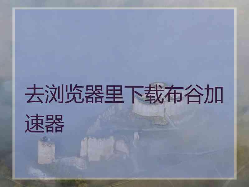 去浏览器里下载布谷加速器
