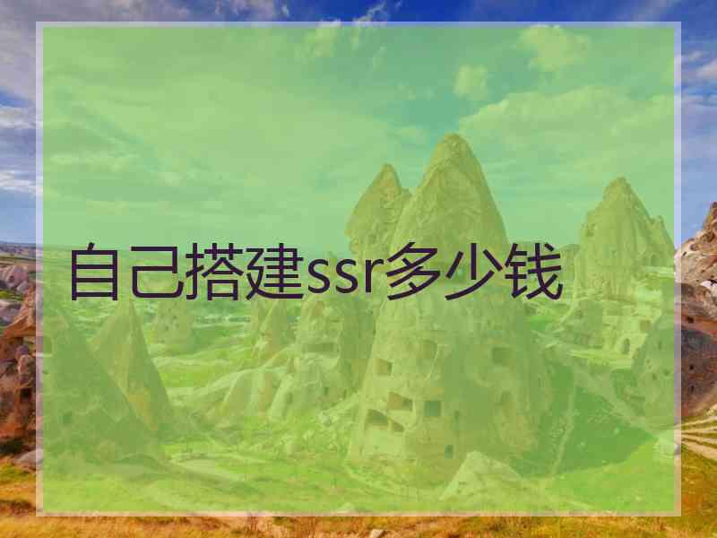 自己搭建ssr多少钱