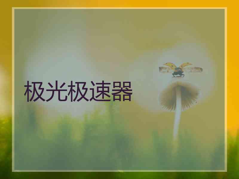 极光极速器