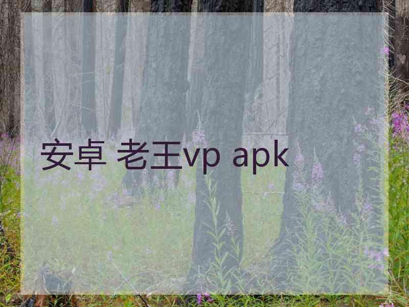 安卓 老王vp apk