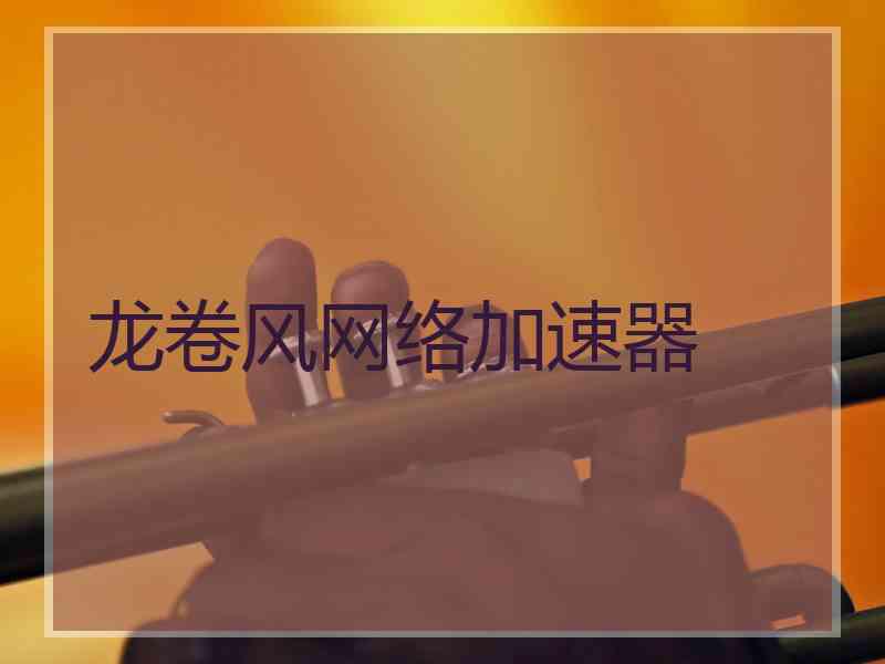 龙卷风网络加速器