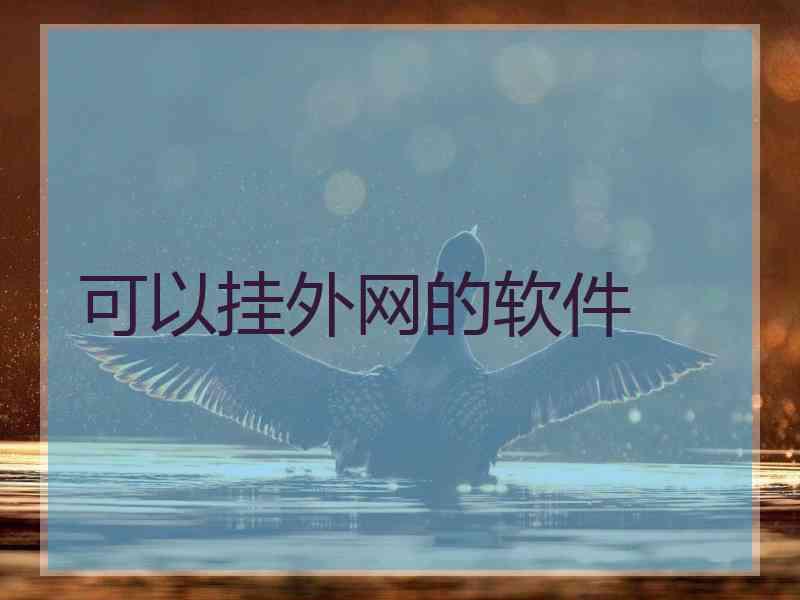 可以挂外网的软件