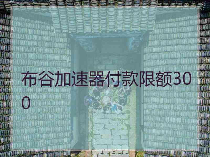 布谷加速器付款限额300