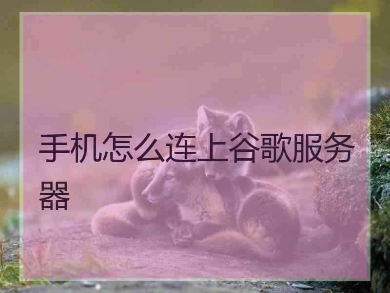 手机怎么连上谷歌服务器