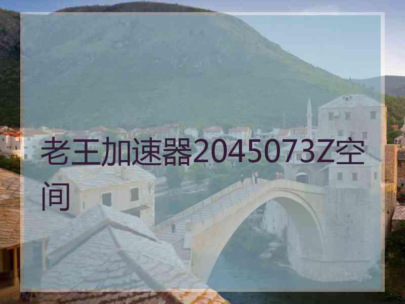 老王加速器2045073Z空间