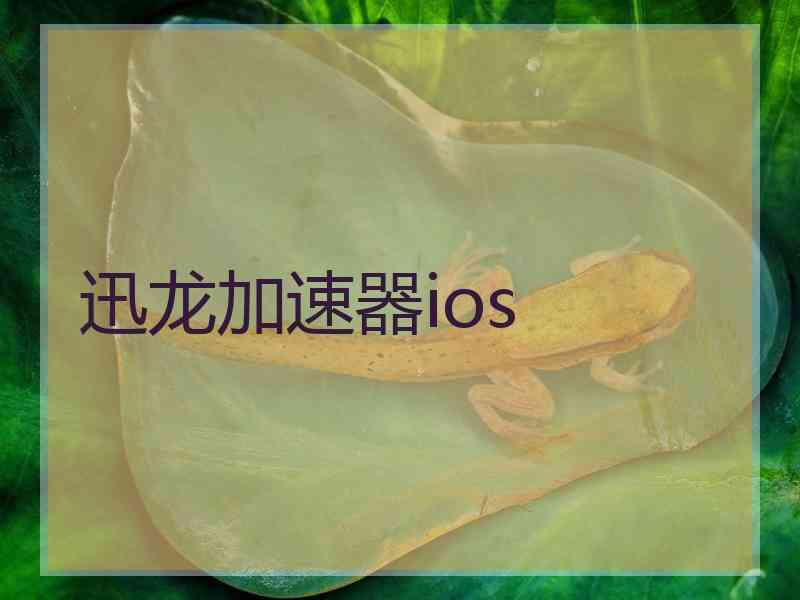 迅龙加速器ios