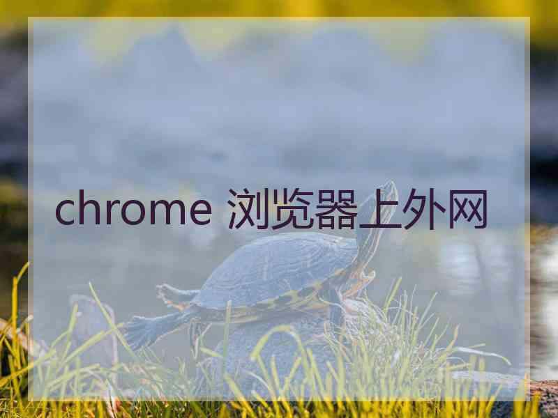 chrome 浏览器上外网