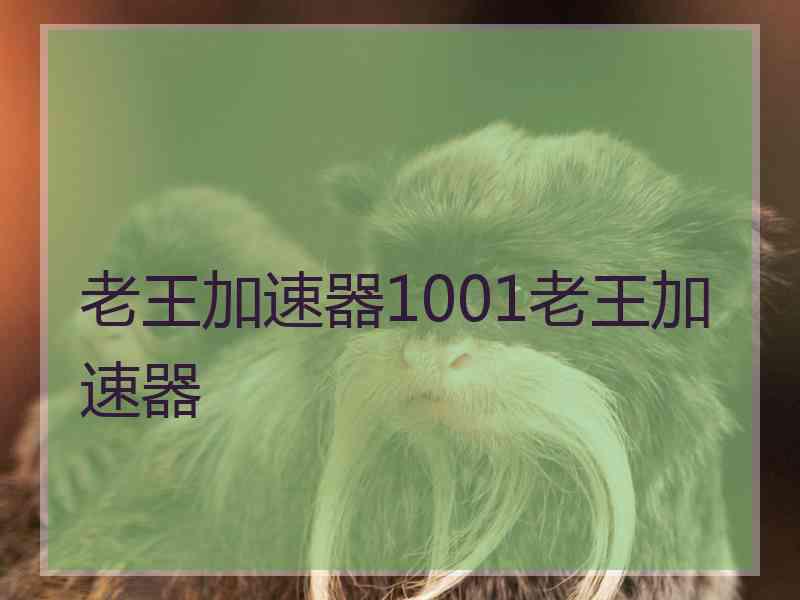 老王加速器1001老王加速器