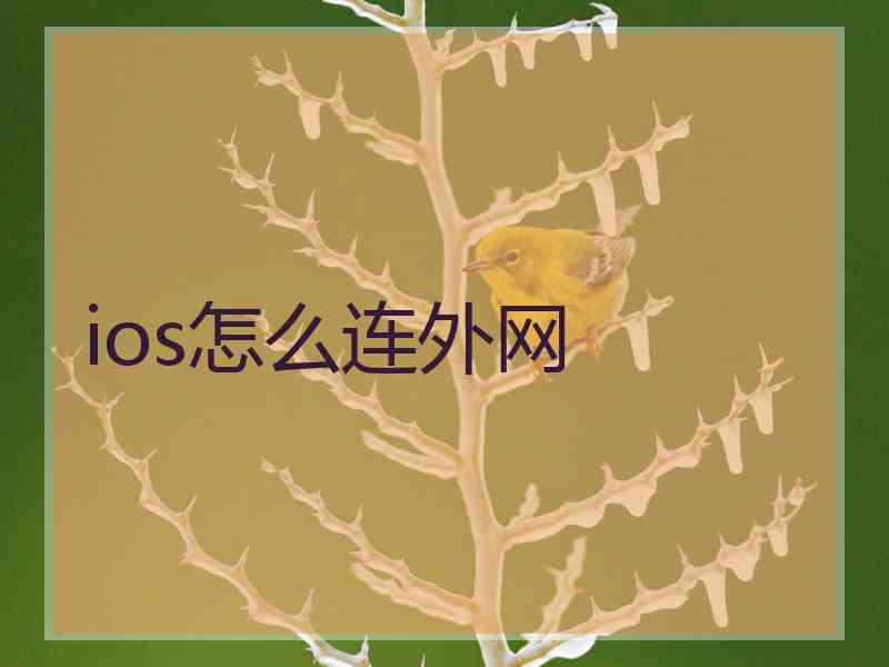 ios怎么连外网