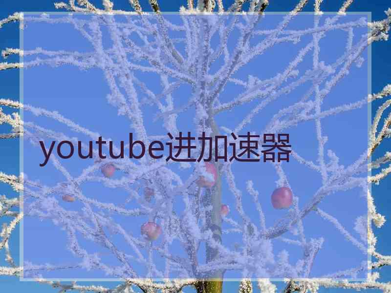 youtube进加速器