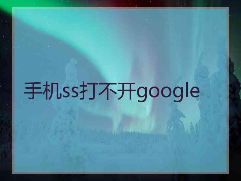手机ss打不开google