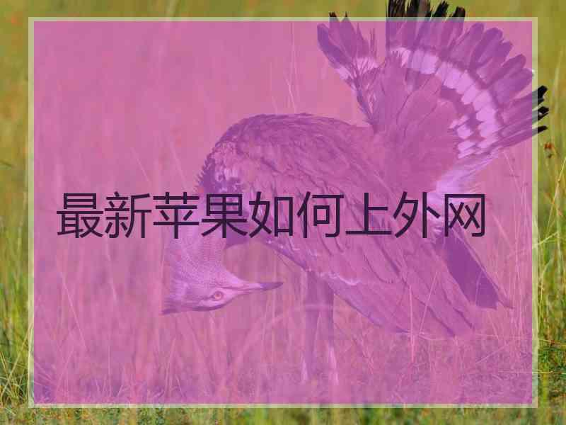 最新苹果如何上外网