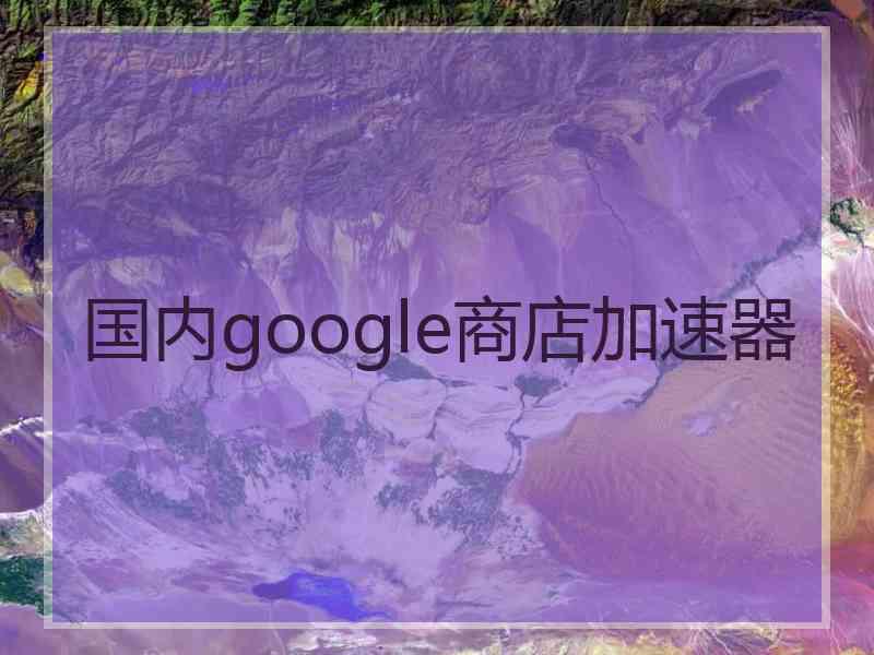 国内google商店加速器