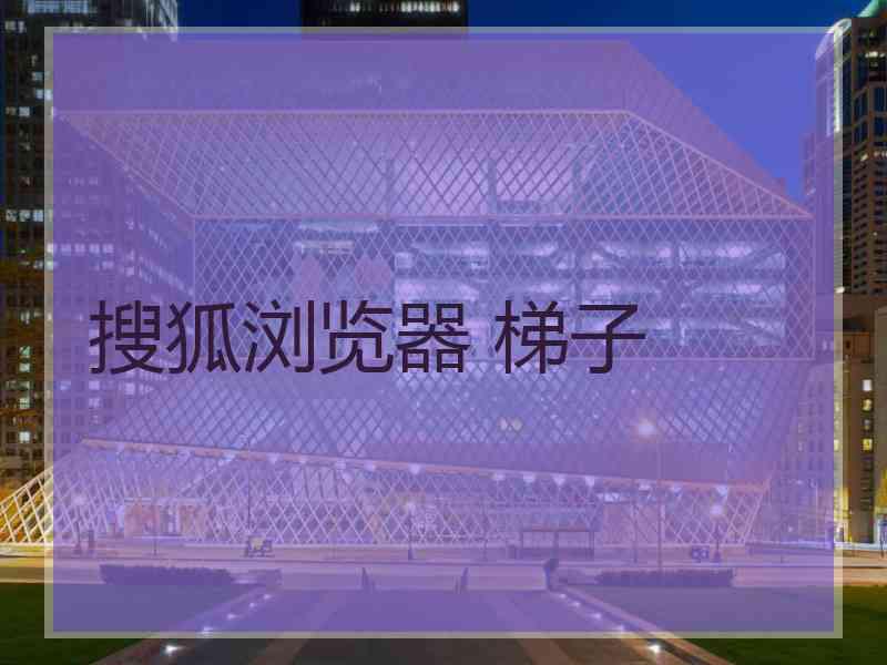 搜狐浏览器 梯子