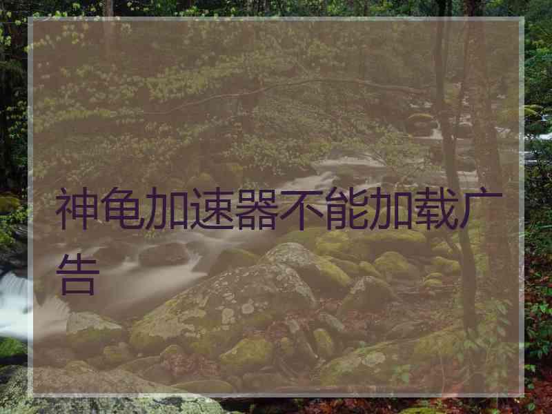 神龟加速器不能加载广告