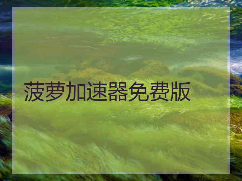 菠萝加速器免费版
