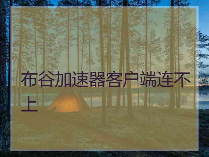 布谷加速器客户端连不上