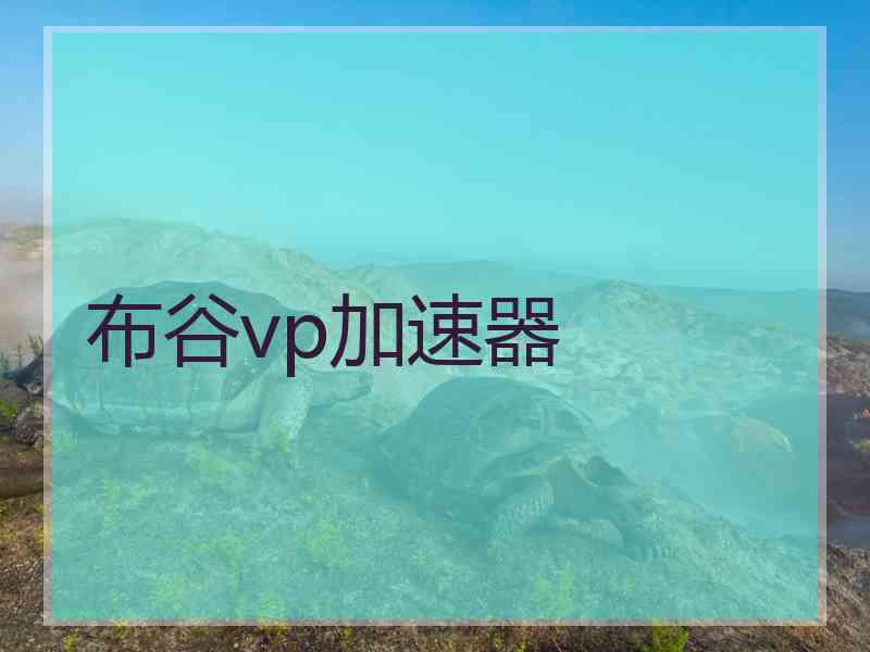 布谷vp加速器