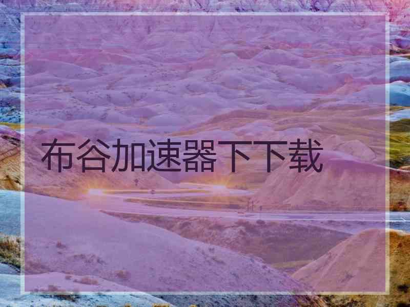 布谷加速器下下载