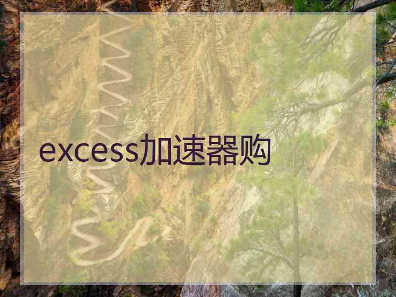 excess加速器购