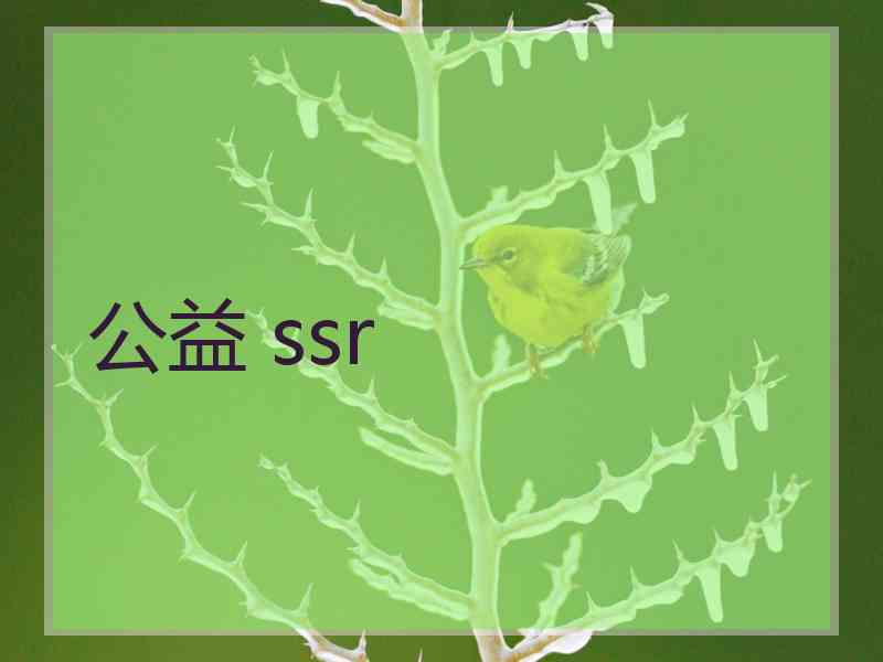 公益 ssr
