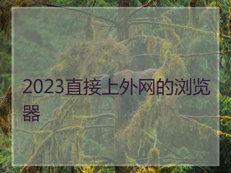 2023直接上外网的浏览器