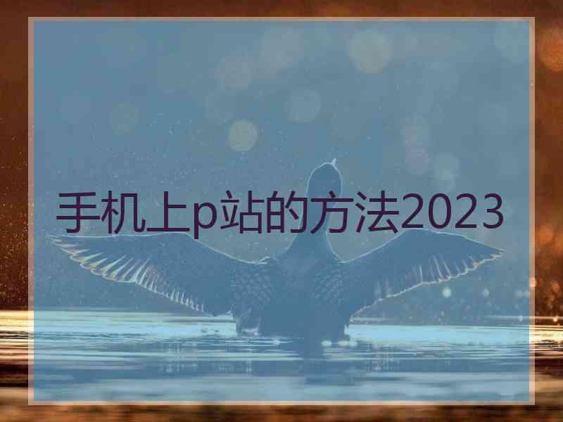 手机上p站的方法2023