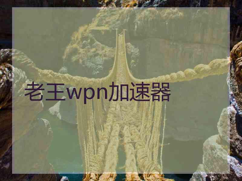 老王wpn加速器
