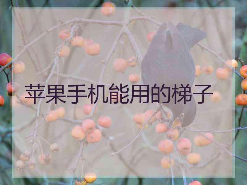 苹果手机能用的梯子