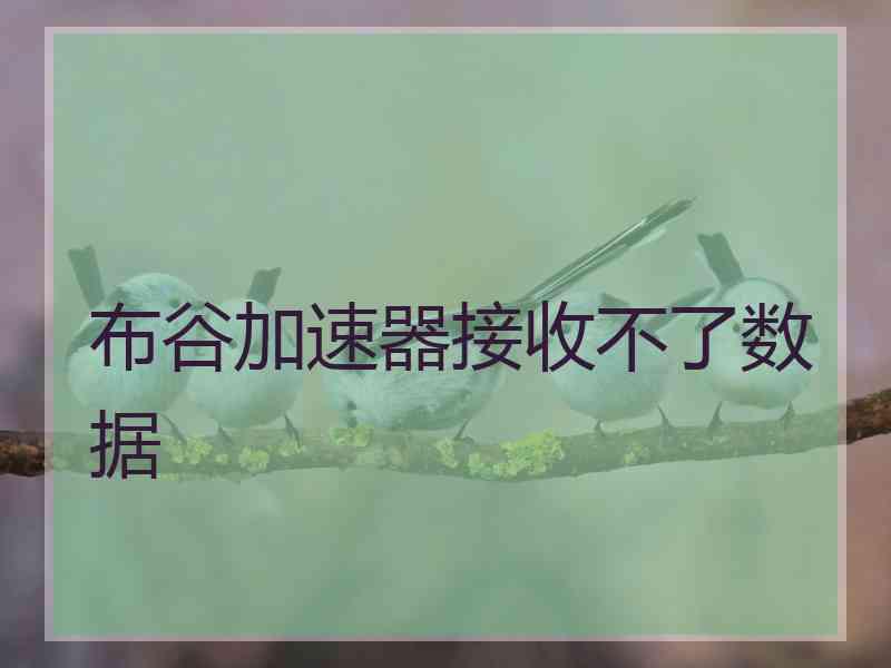 布谷加速器接收不了数据